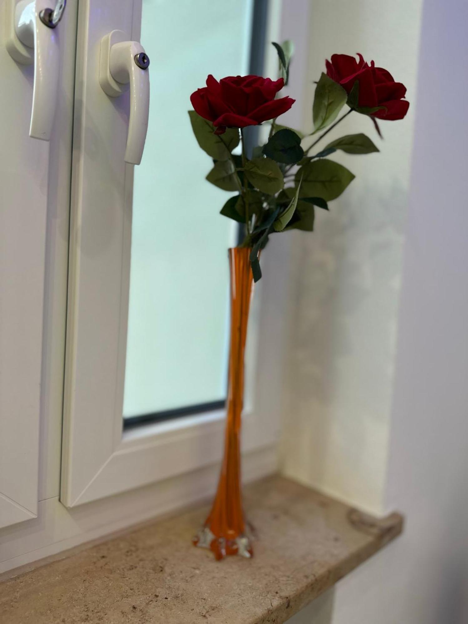 Modern Apartments Neuburg P - Top - 2 Zimmer, Komfort, Balkon, Wi-Fi, Smart Tv, Grosse Dusche, Kueche Нойбург ан дер Донау Екстериор снимка